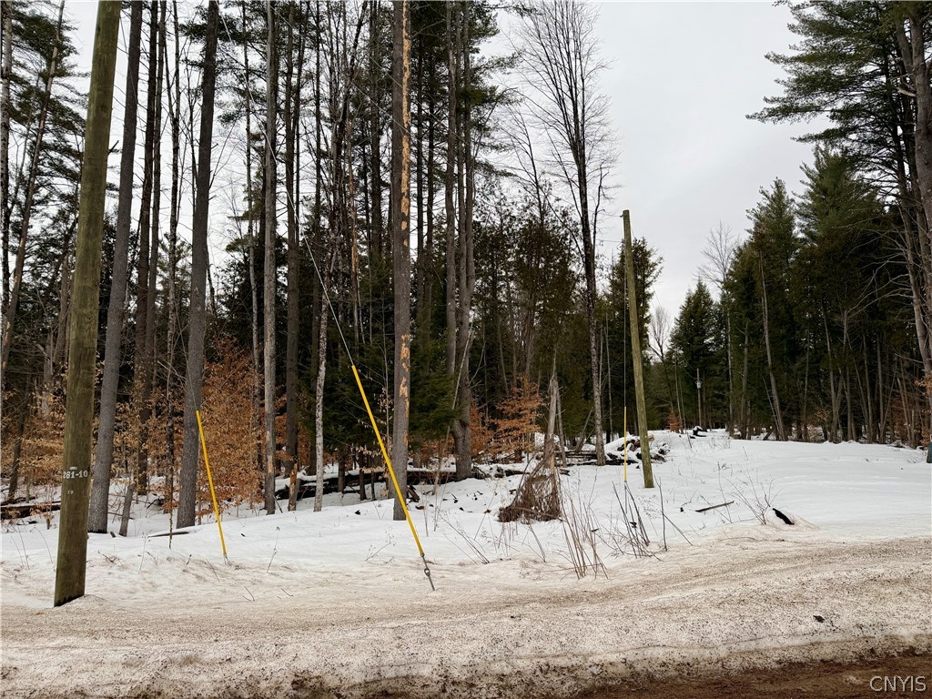 6919 Austin Road Watson, NY 13343 - Photo 11 of 21