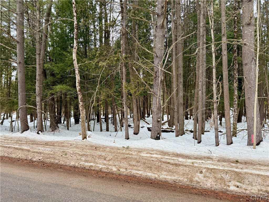 6919 Austin Road Watson, NY 13343 - Photo 12 of 21