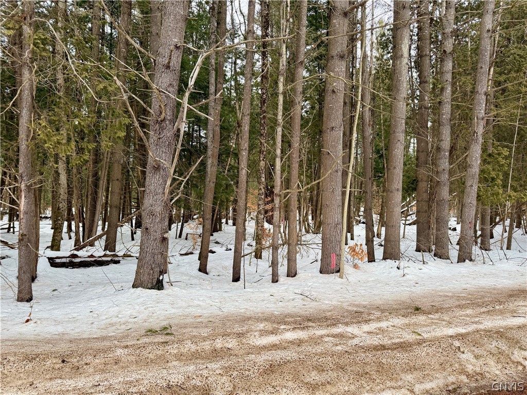 6919 Austin Road Watson, NY 13343 - Photo 13 of 21