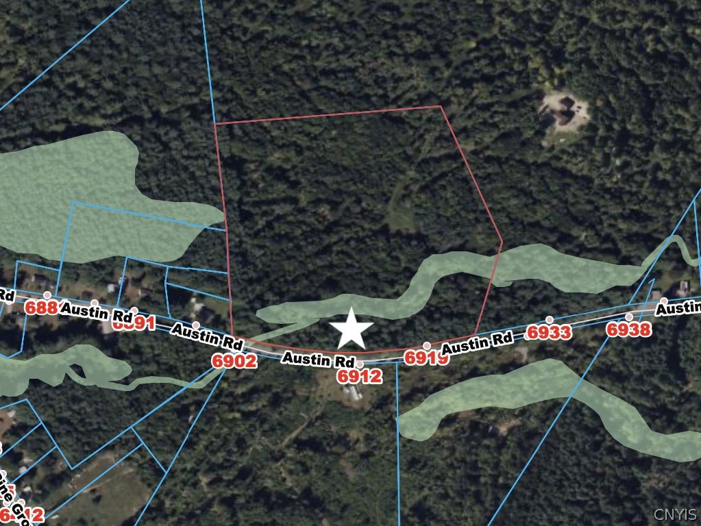 6919 Austin Road Watson, NY 13343 - Photo 16 of 21 wetlands on property along stream