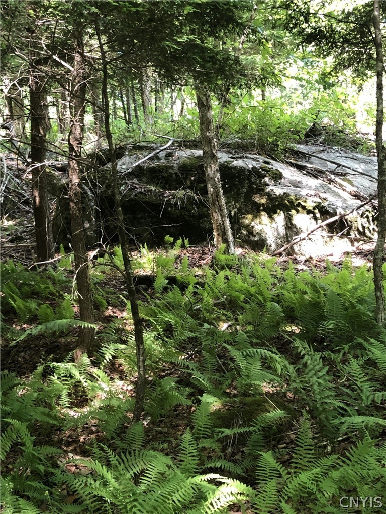 6919 Austin Road Watson, NY 13343 - Photo 18 of 21