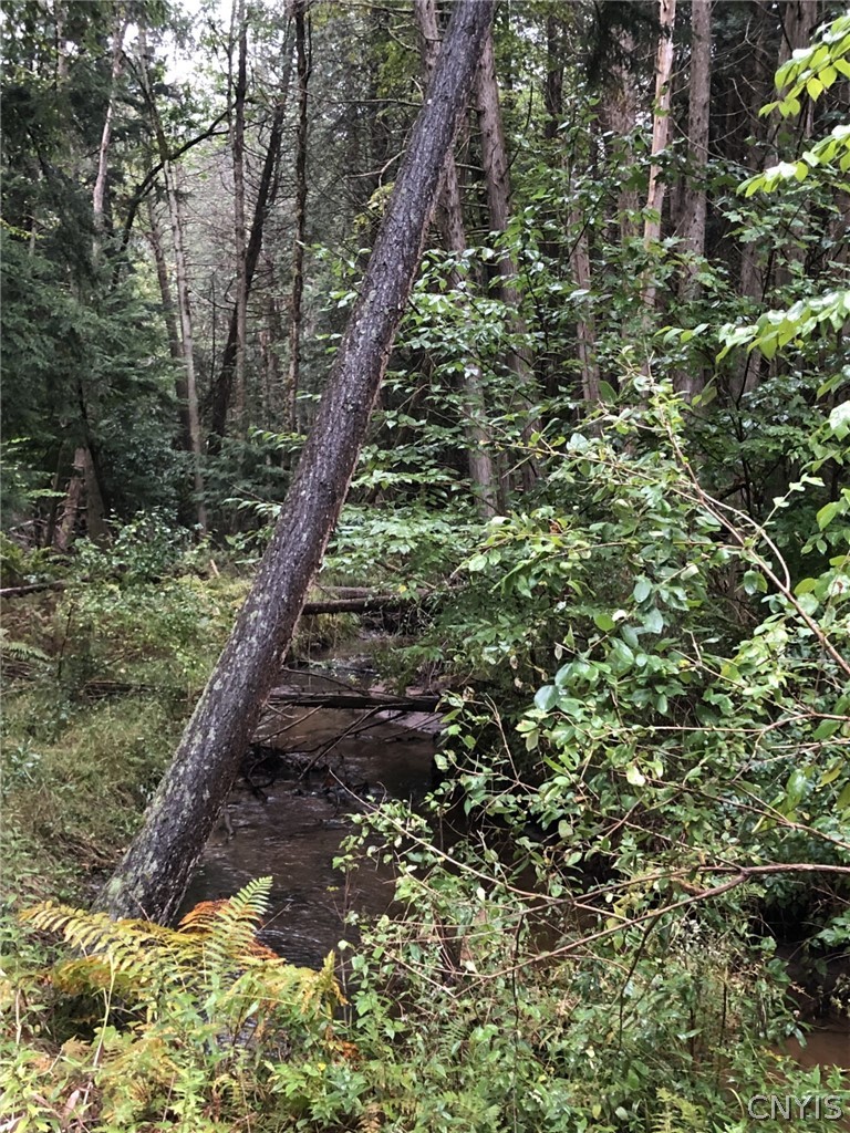 6919 Austin Road Watson, NY 13343 - Photo 19 of 21