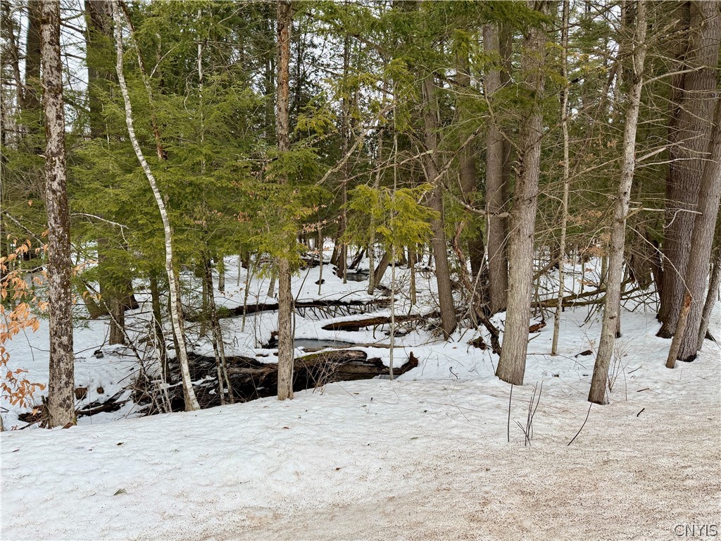 6919 Austin Road Watson, NY 13343 - Photo 3 of 21 Stream in Winter