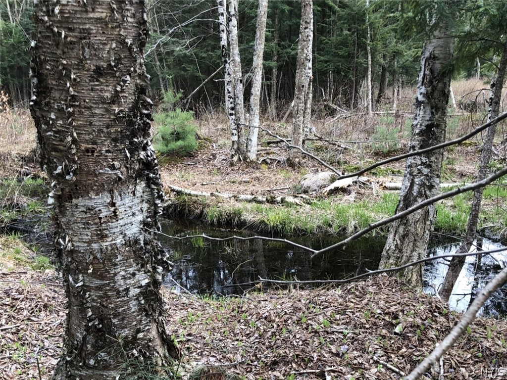 6919 Austin Road Watson, NY 13343 - Photo 4 of 21 Stream in Summer