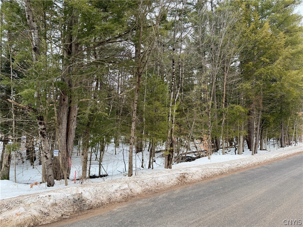 6919 Austin Road Watson, NY 13343 - Photo 7 of 21