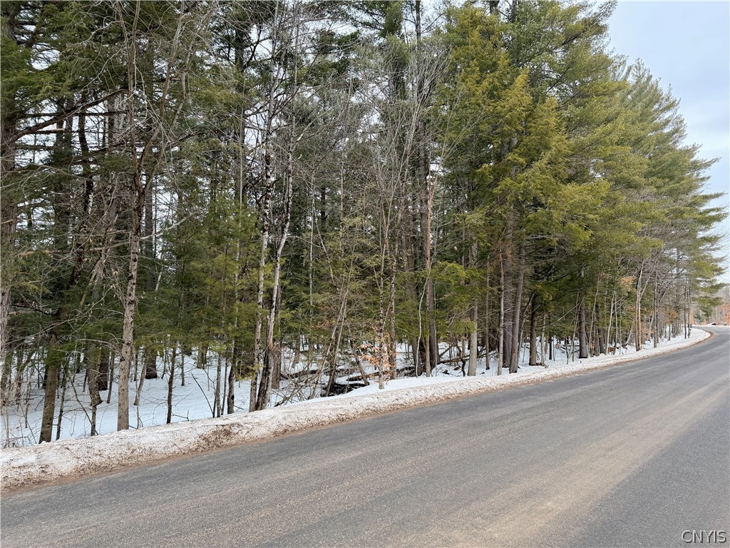 6919 Austin Road Watson, NY 13343 - Photo 8 of 21