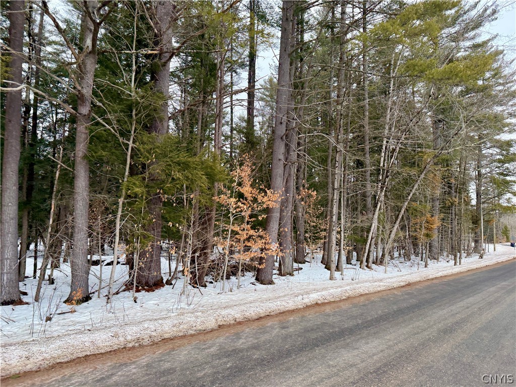 6919 Austin Road Watson, NY 13343 - Photo 9 of 21