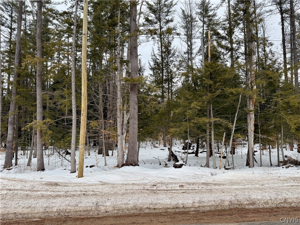 6919 Austin Road Watson, NY 13343 - Photo 10 of 21