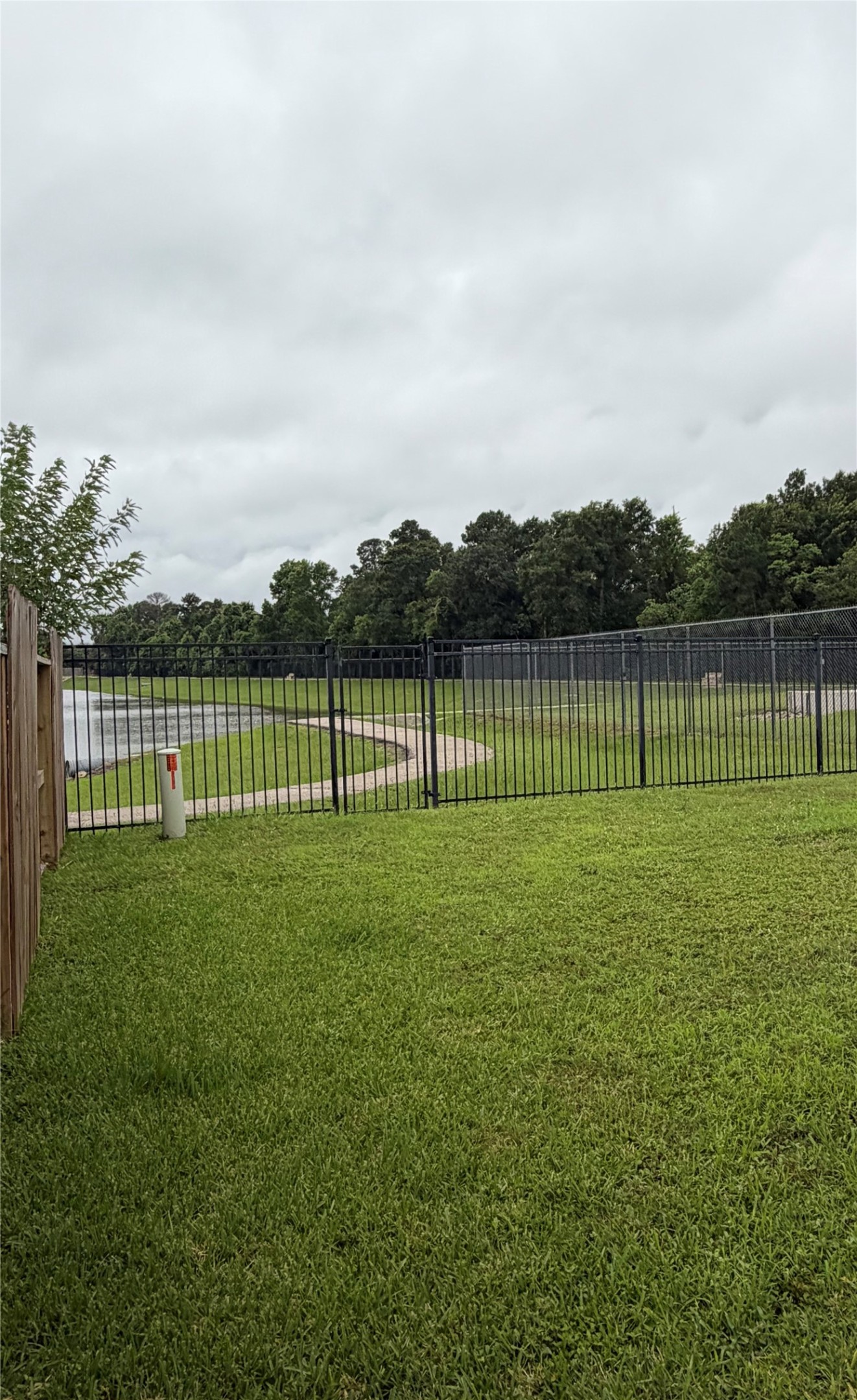 3131 Peachstone Place Spring, TX 77389 - Photo 11 of 20 a view of a park with a big yard and plants