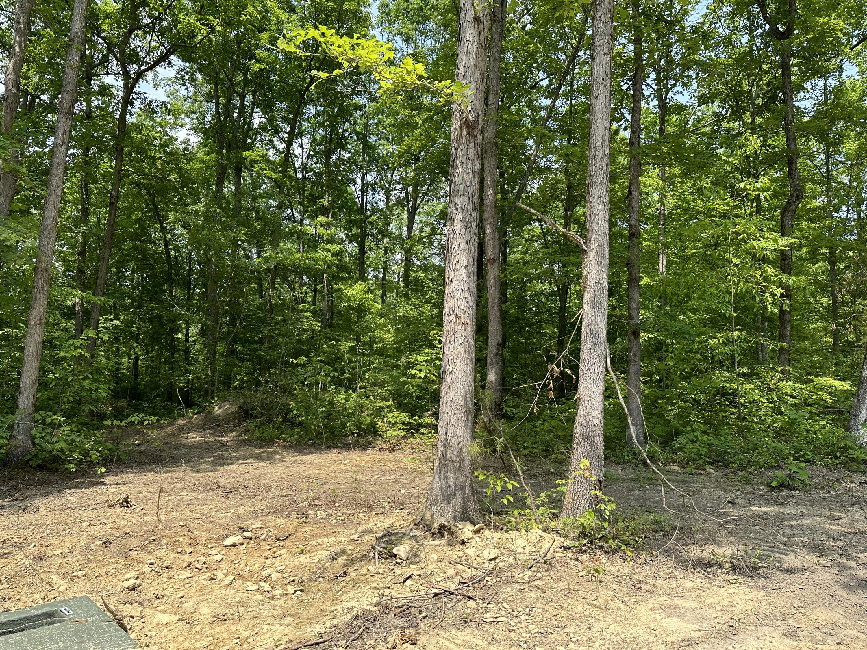 6 Big Sky Road Corbin, KY 40701 - Photo 8 of 12 IMG_5850