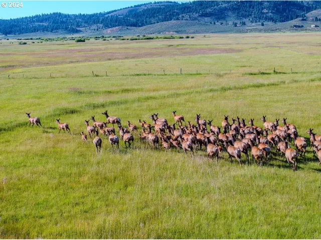 a view of a city with mountains in the background