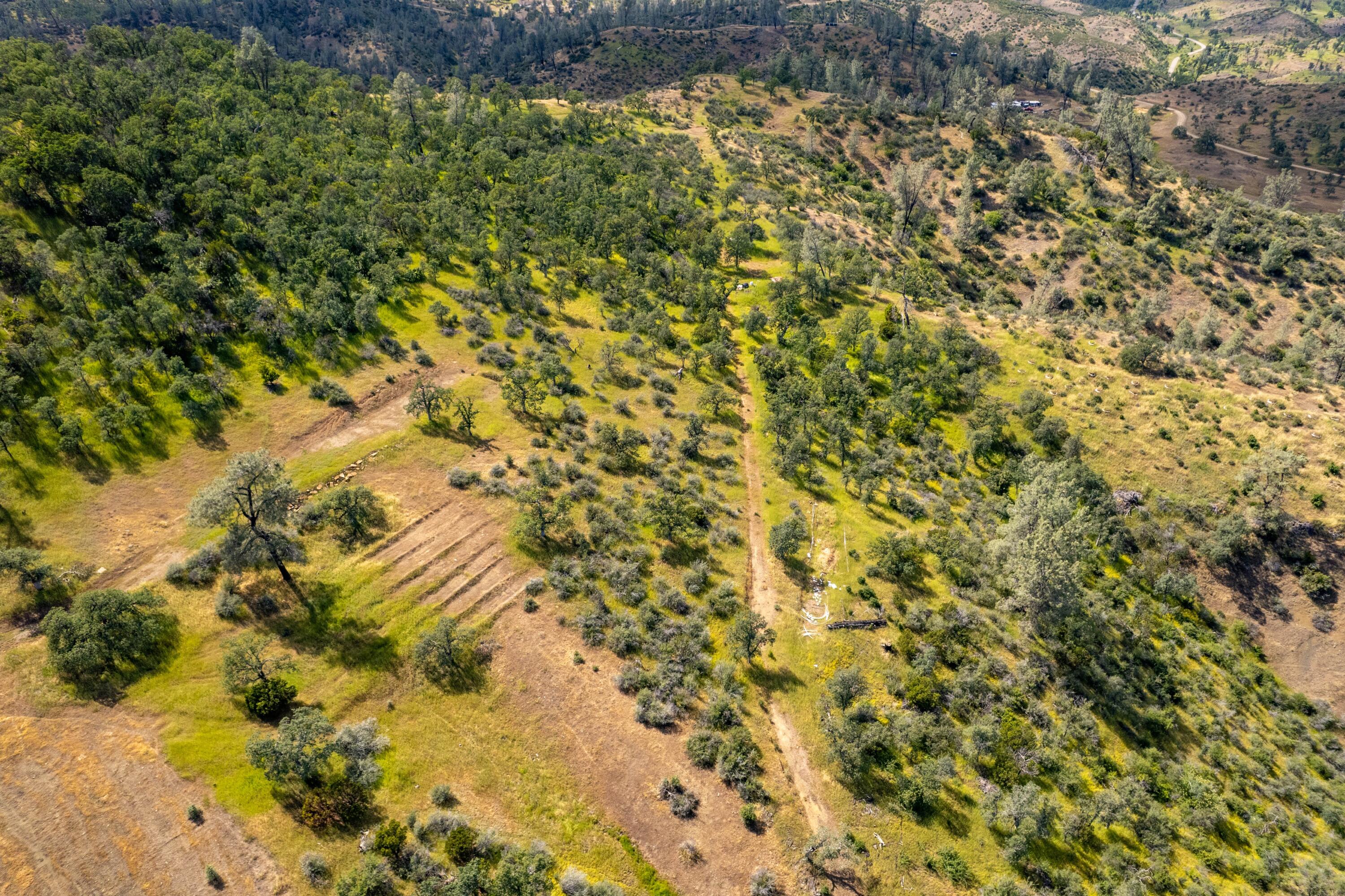 4200 Fiddlers Road Igo, CA 96047 - Photo 13 of 15 a view of a bunch of trees and houses