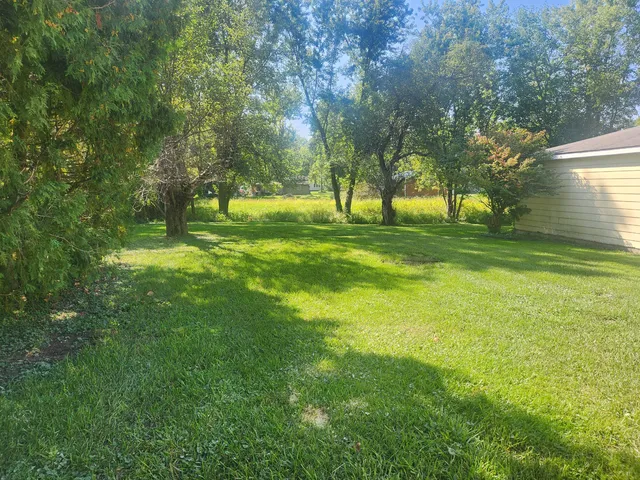 a view of field with trees