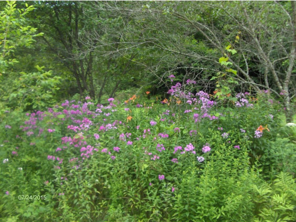 149 Salt Box Road Randolph, VT 05061 - Photo 2 of 20
