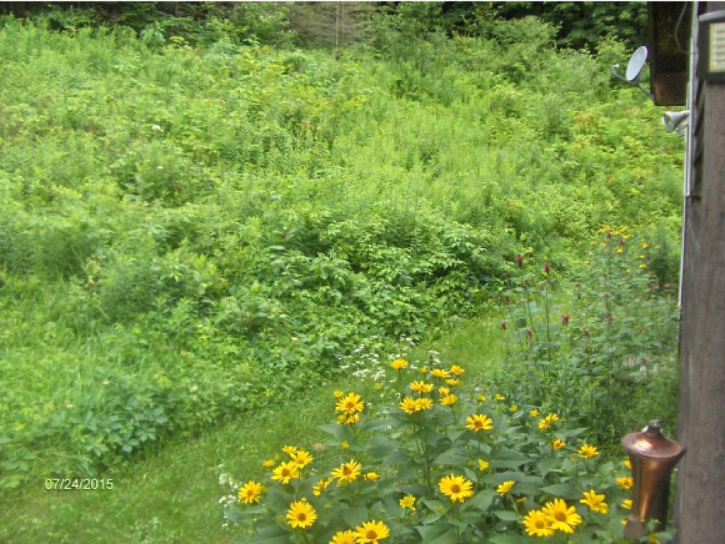 149 Salt Box Road Randolph, VT 05061 - Photo 16 of 20