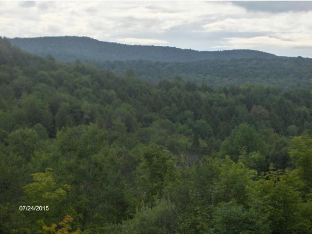 149 Salt Box Road Randolph, VT 05061 - Photo 17 of 20
