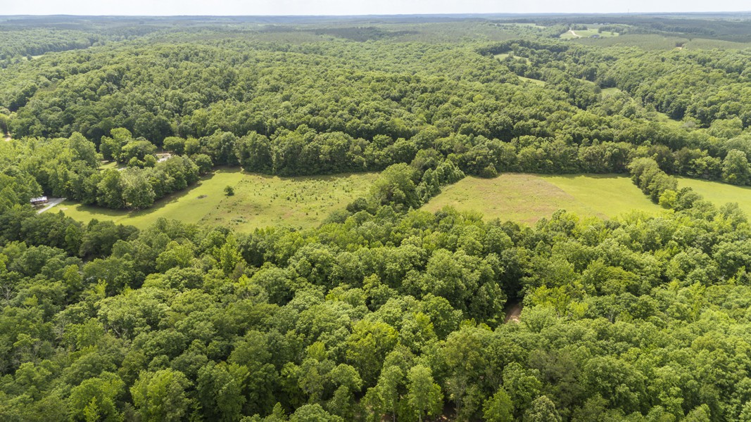 0 Mantey Road Waynesboro, TN 38485 - Photo 10 of 10 Gallery Image 10