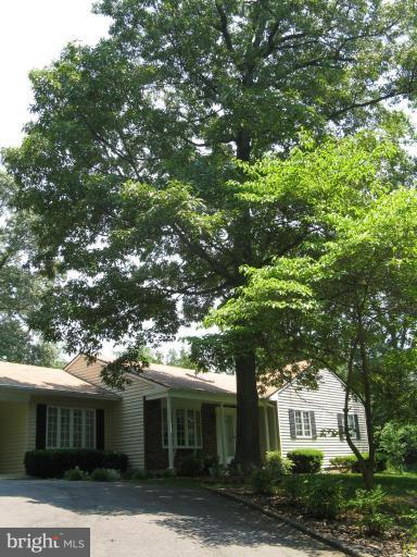 11120 Cove Lake Road Lusby, MD 20657 - Photo 11 of 28 Out front tree + landscaping