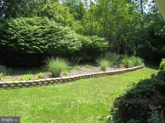 11120 Cove Lake Road Lusby, MD 20657 - Photo 14 of 28 Backyard