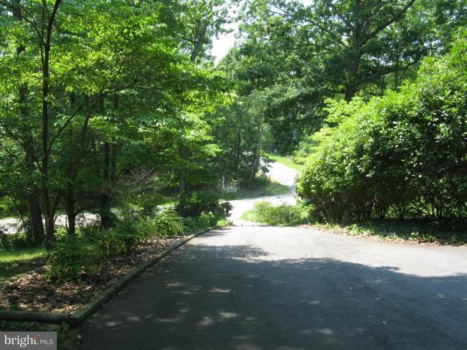 11120 Cove Lake Road Lusby, MD 20657 - Photo 20 of 28 Looking down the driveway