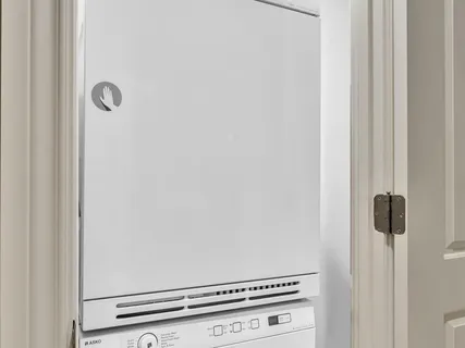 a view of a park with a tree