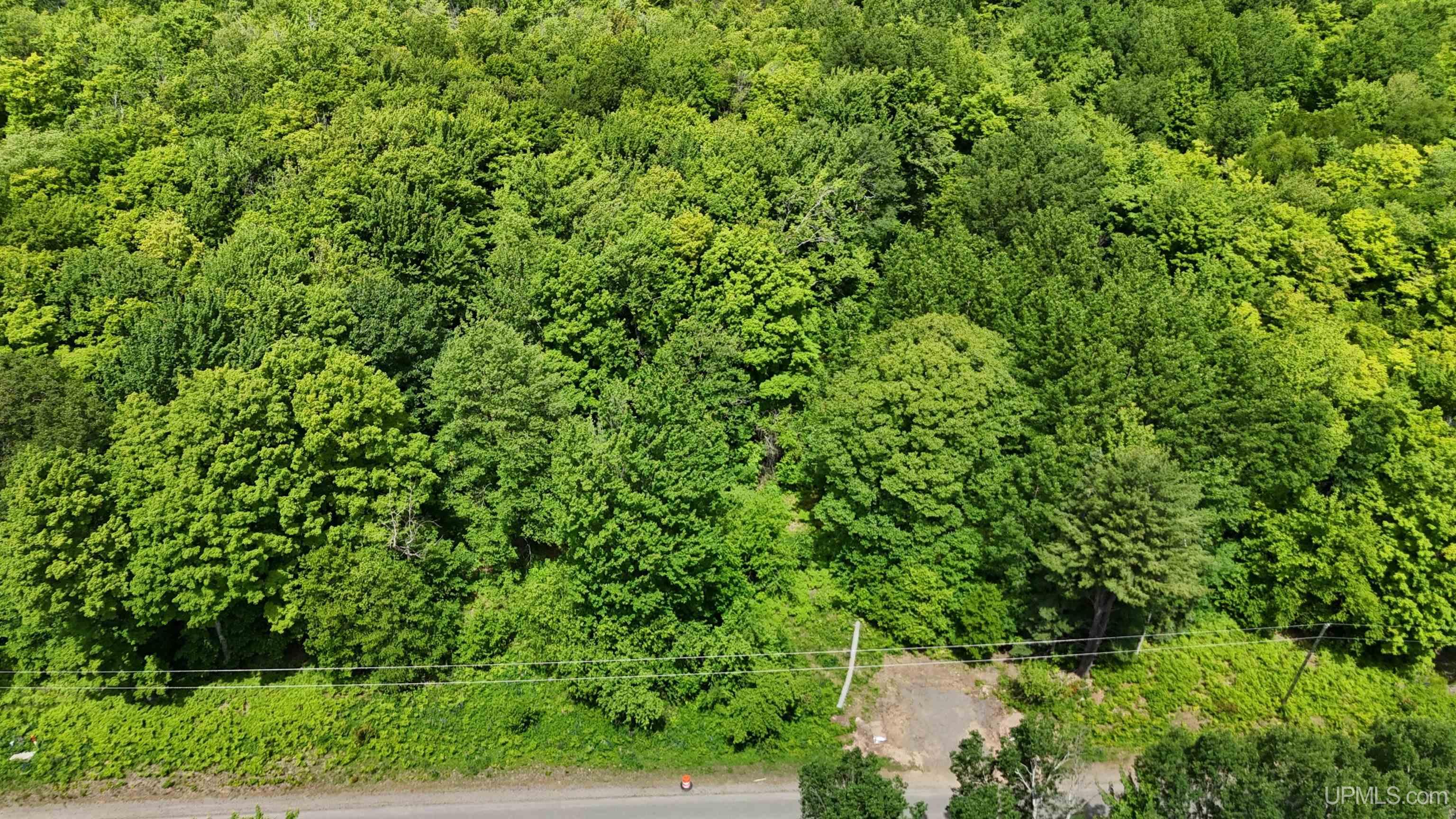 Tbd20 Skanee Road Skanee, MI 49962 - Photo 2 of 26