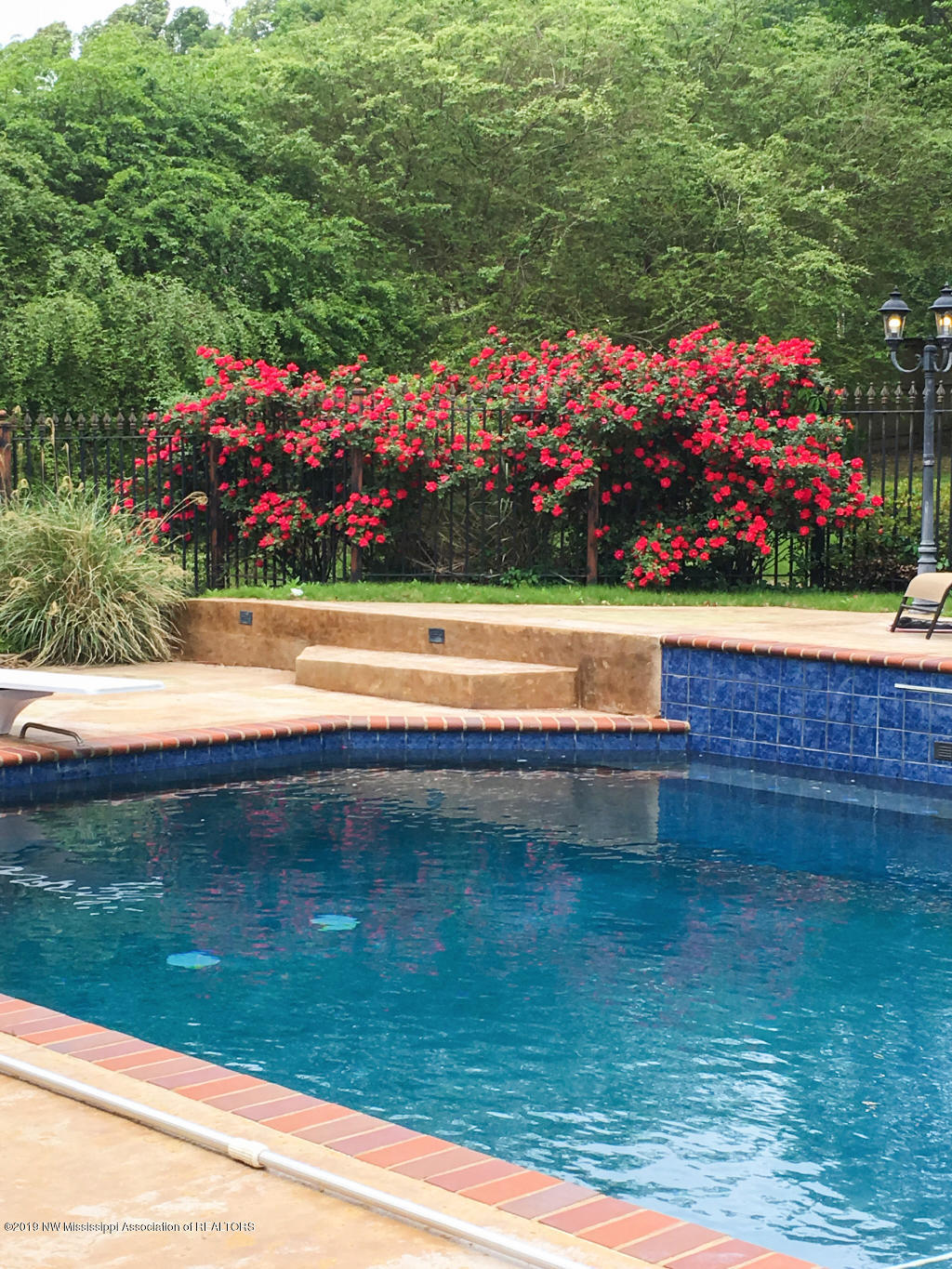 650 Oakley Road Senatobia, MS 38668 - Photo 44 of 57 Extravagant landscaping