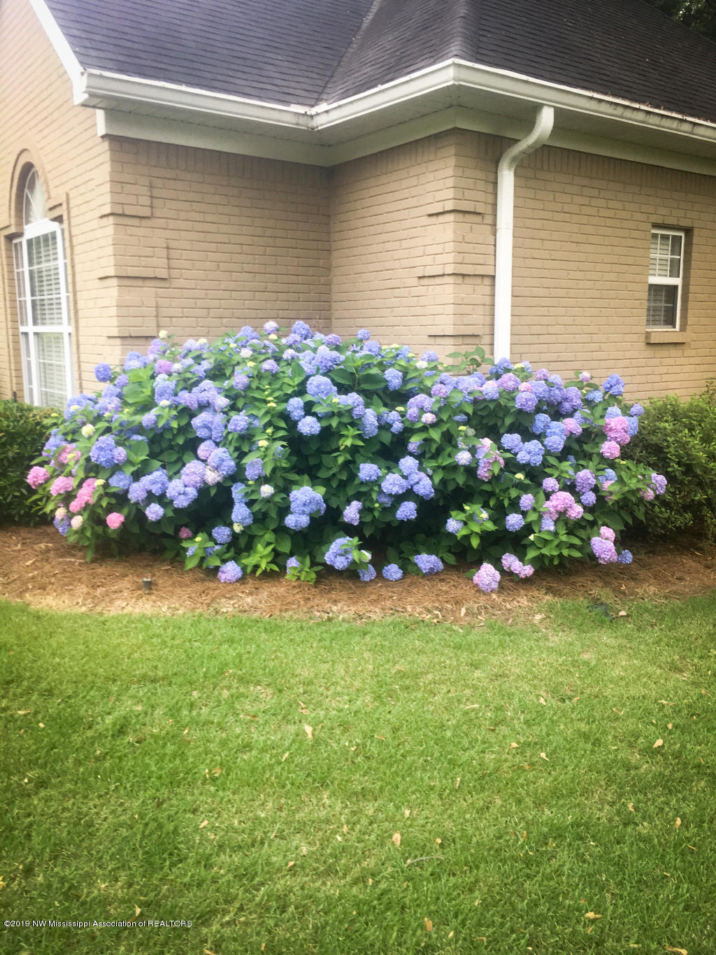 650 Oakley Road Senatobia, MS 38668 - Photo 9 of 57 More luxurious landscaping