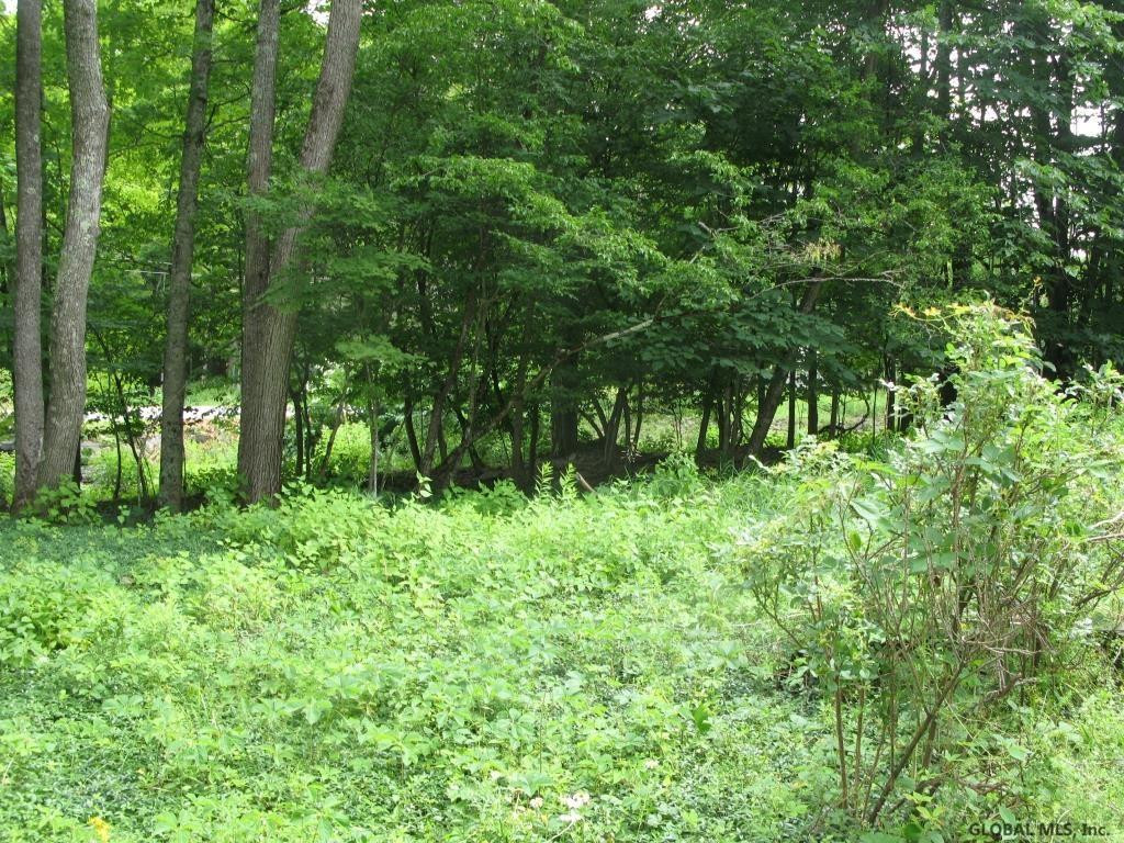 1079 Huntersland Road Berne, NY 12122 - Photo 56 of 71 Photo 56