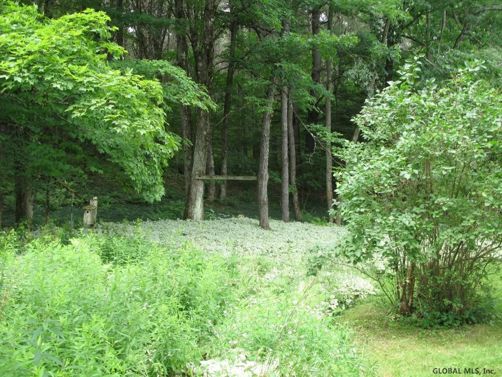 1079 Huntersland Road Berne, NY 12122 - Photo 59 of 71 Photo 59