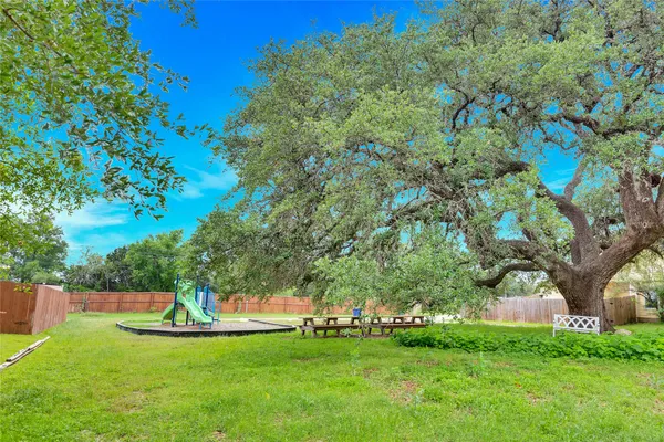 a view of a garden with a tree