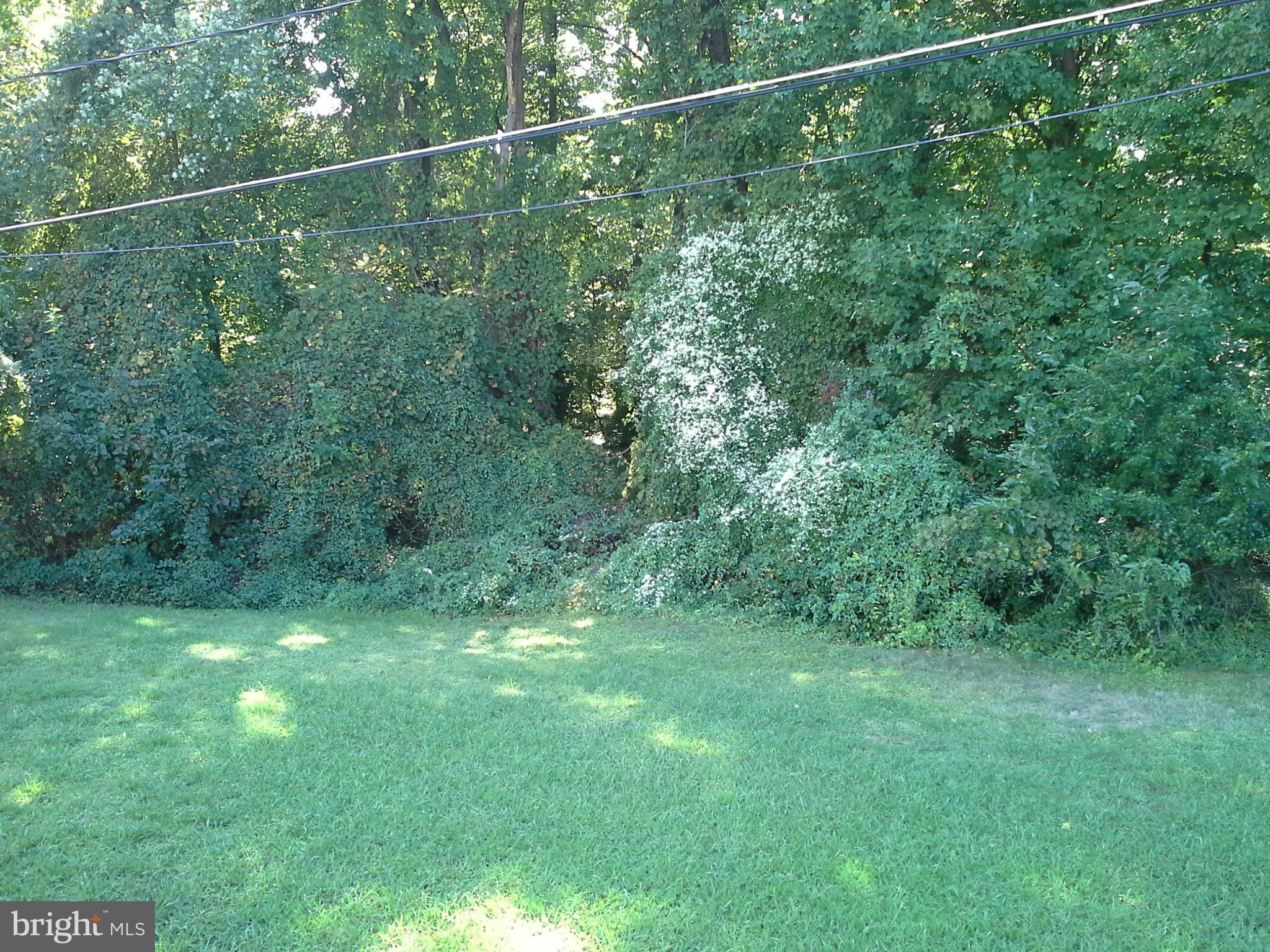 6217 Commons Road Baltimore, MD 21237 - Photo 6 of 30 Yard goes into the woods!
