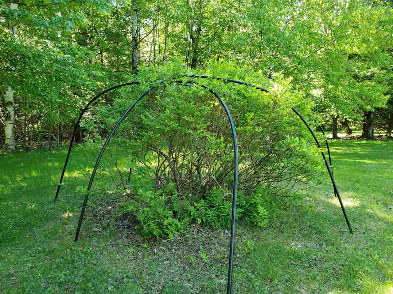 2210 East Mountain Road Guilford, VT 05301 - Photo 11 of 40 Gallery Image 11
