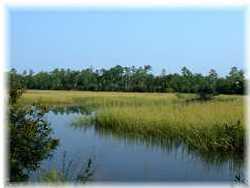 3679 Coastal Crab Road Mount Pleasant, SC 29466 - Photo 4 of 5 View of Creek