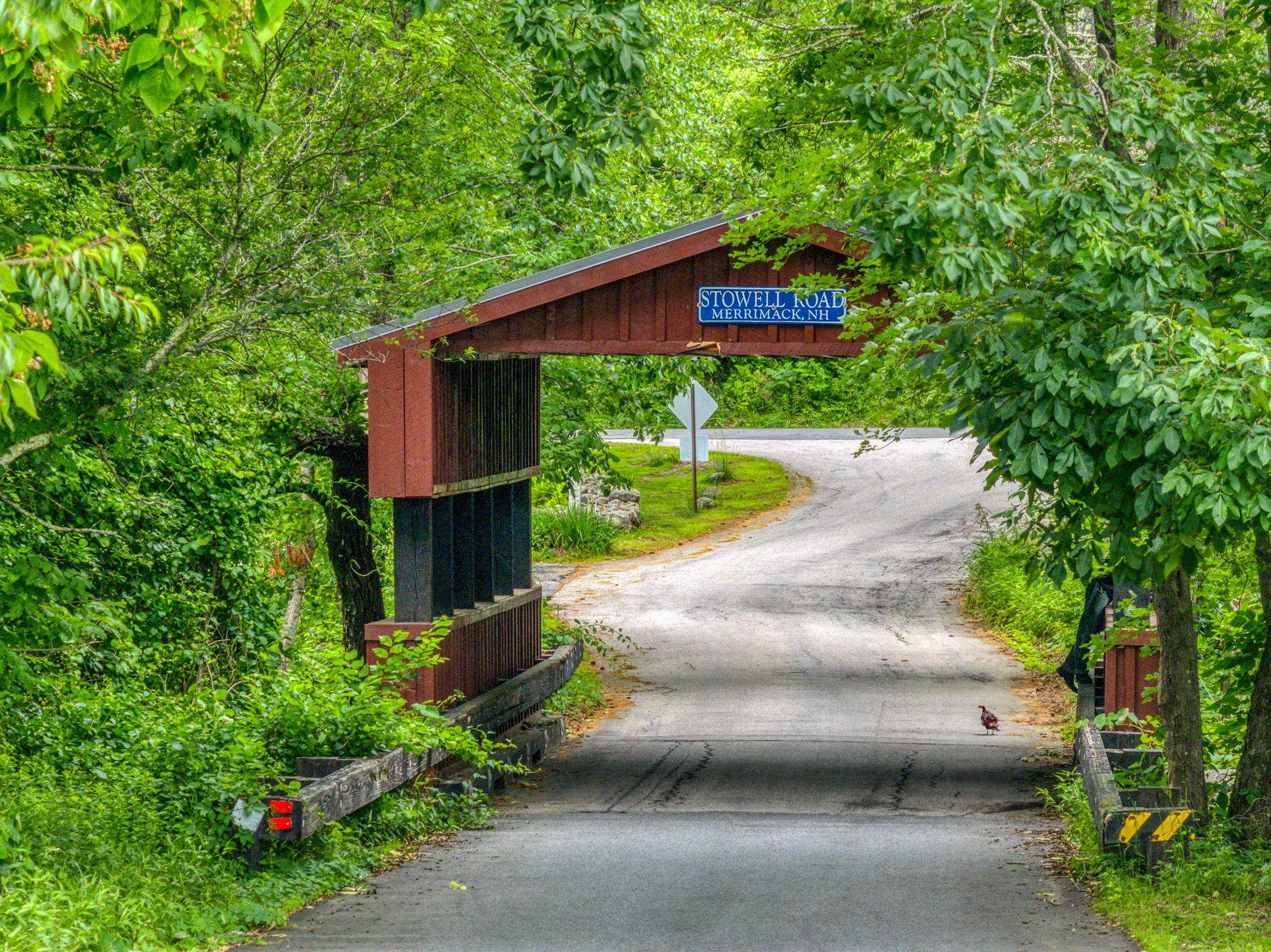 97 Stowell Road Bedford, NH 03110 - Photo 30 of 40