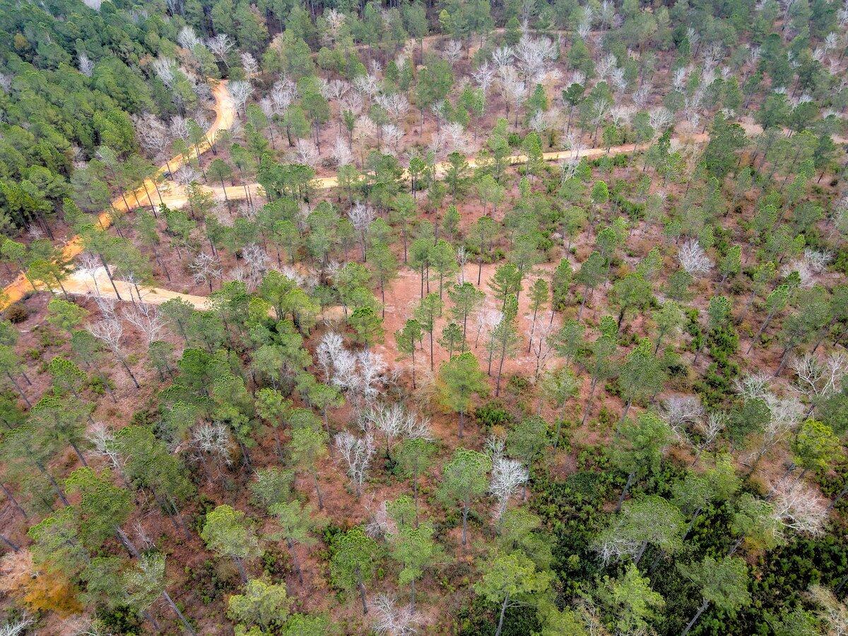 0 Deer Run Road, Unit F2 Williston, SC 29853 - Photo 22 of 24 Gallery Image 22