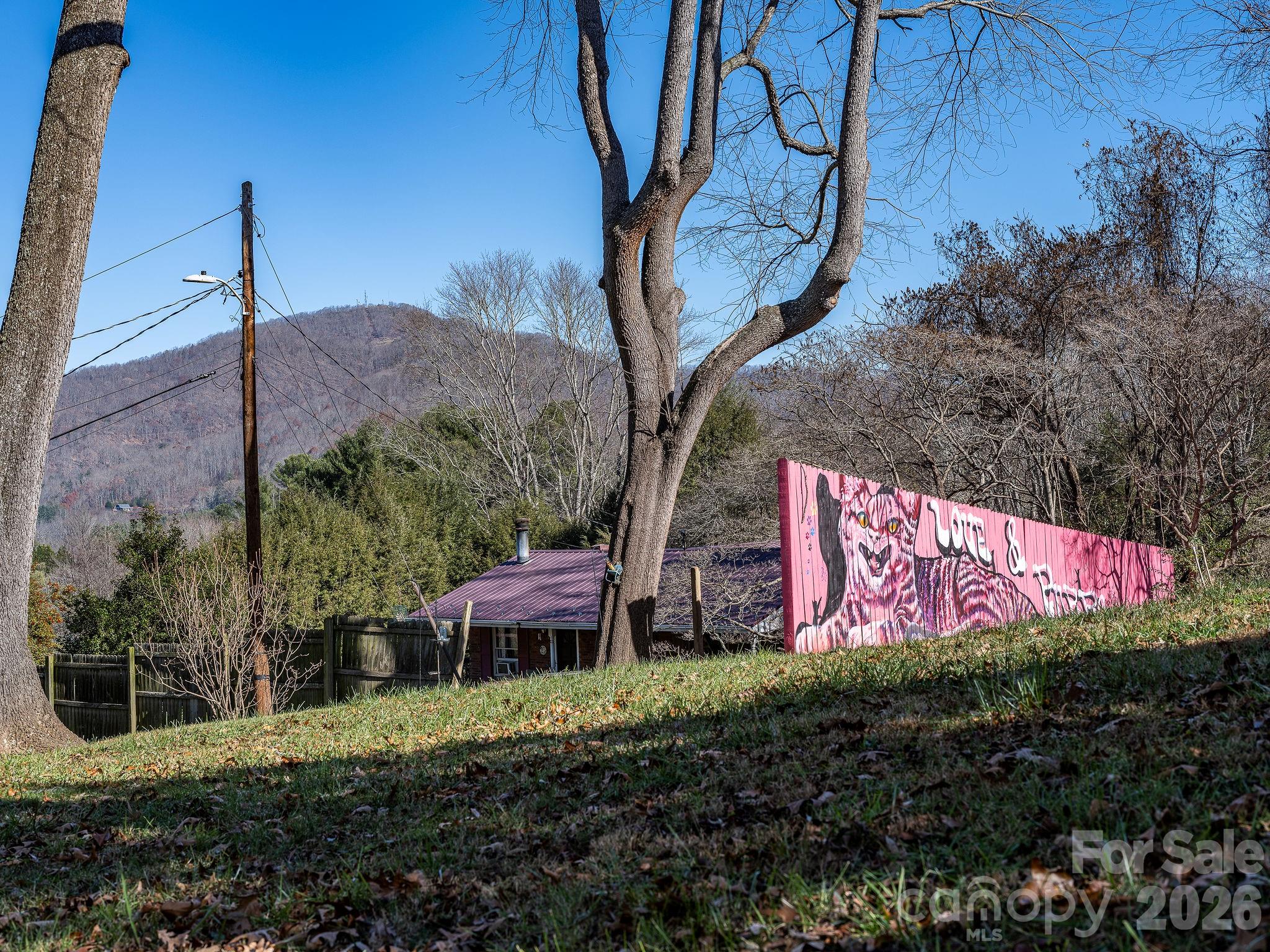 107 Woodland Church Road Clyde, NC 28721 - Photo 4 of 41