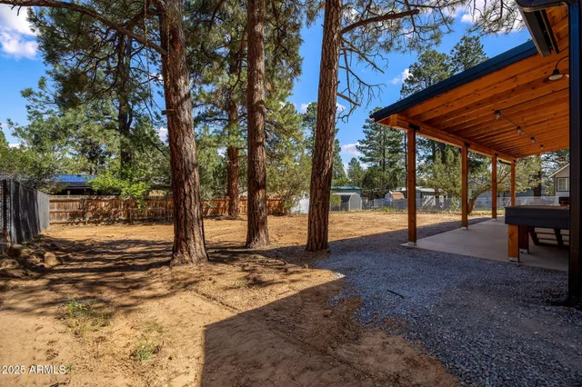a view of a backyard with a tree