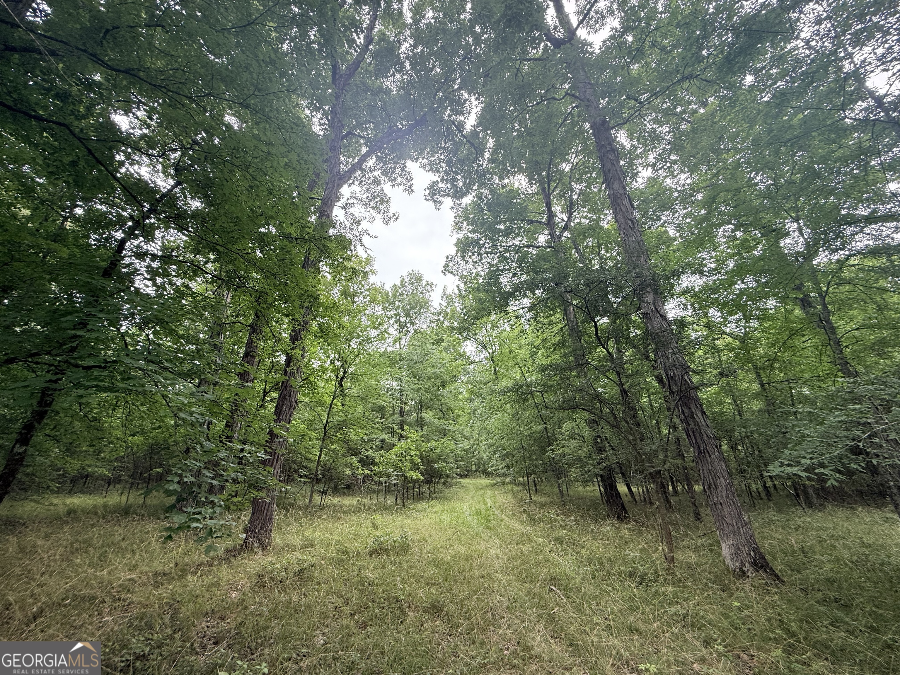 1 Bethesda Church Road Lexington, GA 30648 - Photo 29 of 78