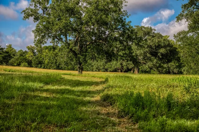 $799,000 | 515 Highway 543 Loop, West Point, TX 78963