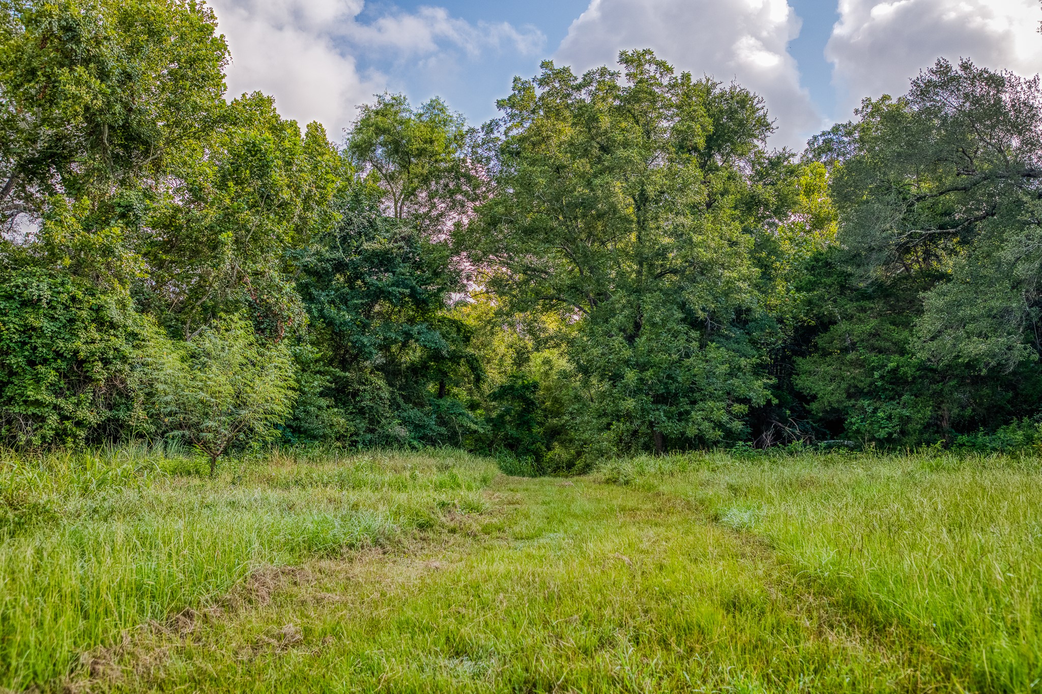 515 East Sh 543 Loop West Point, TX 78963 - Photo 22 of 36 a view of outdoor space with a garden and trees