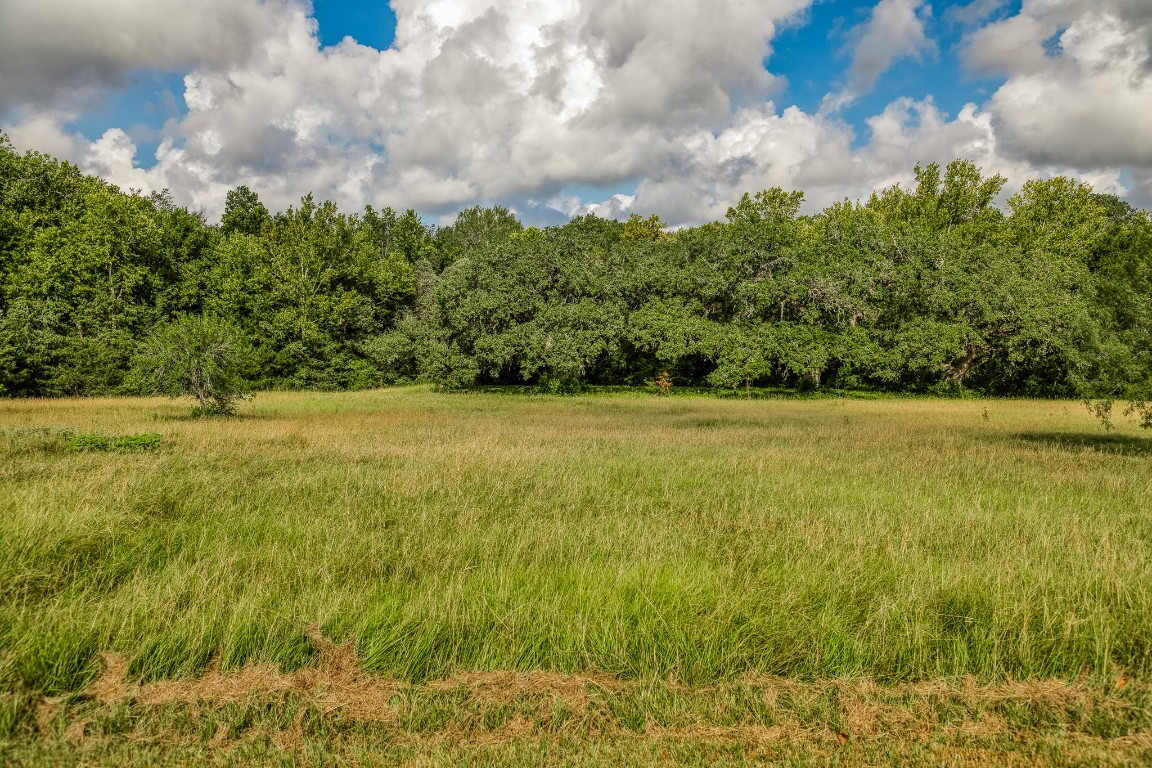 515 Highway 543 Loop West Point, TX 78963 - Photo 23 of 37 a view of a field with an trees in the background