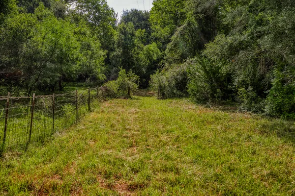 $749,000 | 515 East Sh 543 Loop, West Point, TX 78963