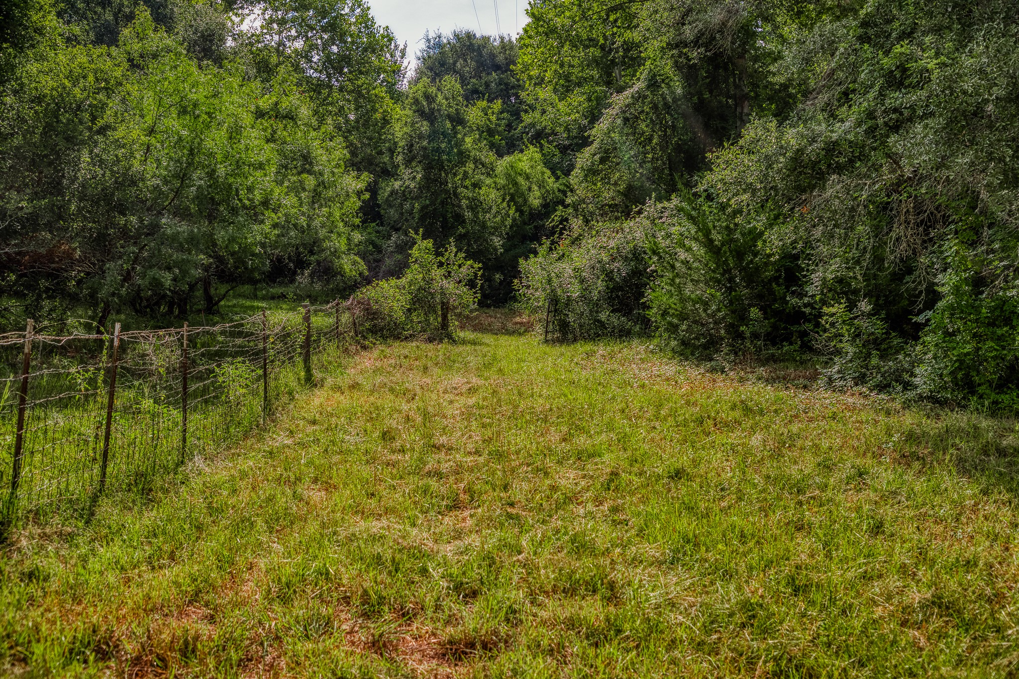 515 East Sh 543 Loop West Point, TX 78963 - Photo 25 of 36 a view of a lake view