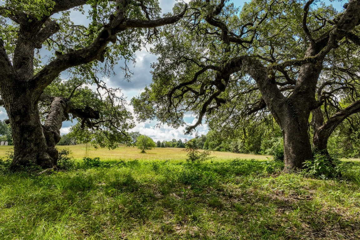 515 Highway 543 Loop West Point, TX 78963 - Photo 28 of 37 a view of outdoor space and yard