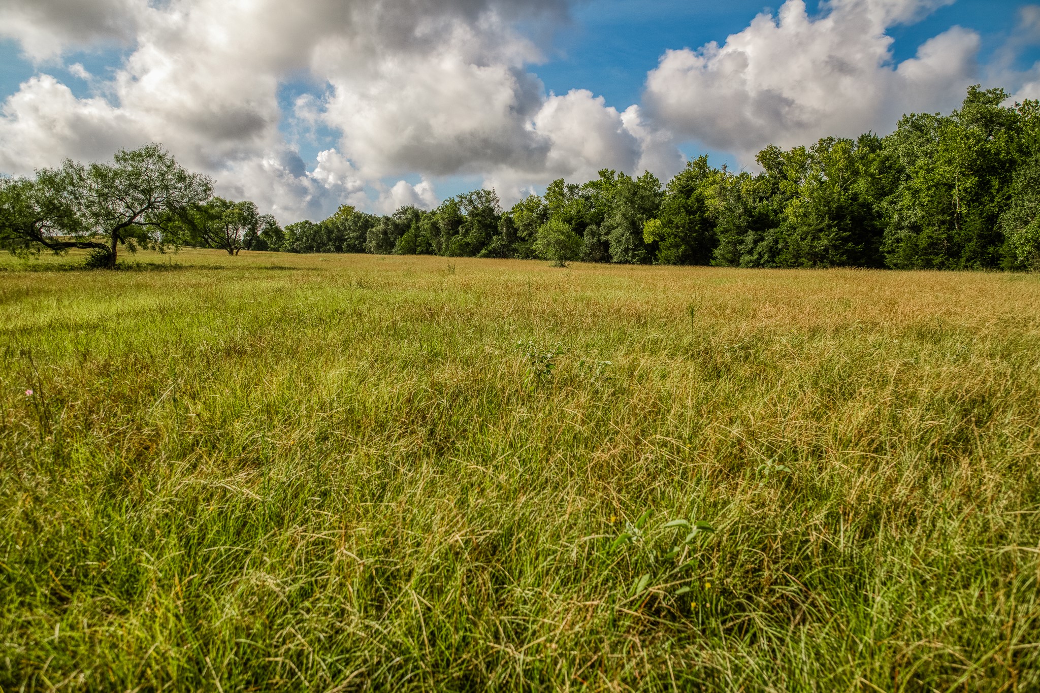 515 East Sh 543 Loop West Point, TX 78963 - Photo 29 of 36 View of wooded area featuring a rural view