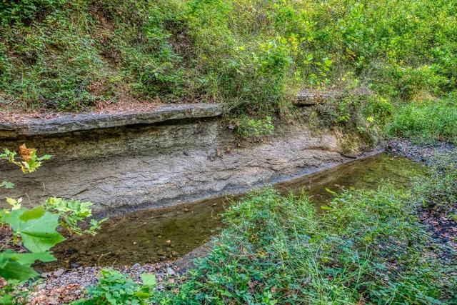 $799,000 | 515 Highway 543 Loop, West Point, TX 78963