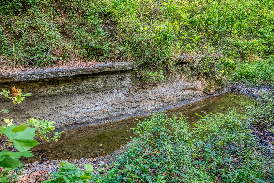 515 Highway 543 Loop West Point, TX 78963 - Photo 3 of 37 a view of a backyard with plants and large trees