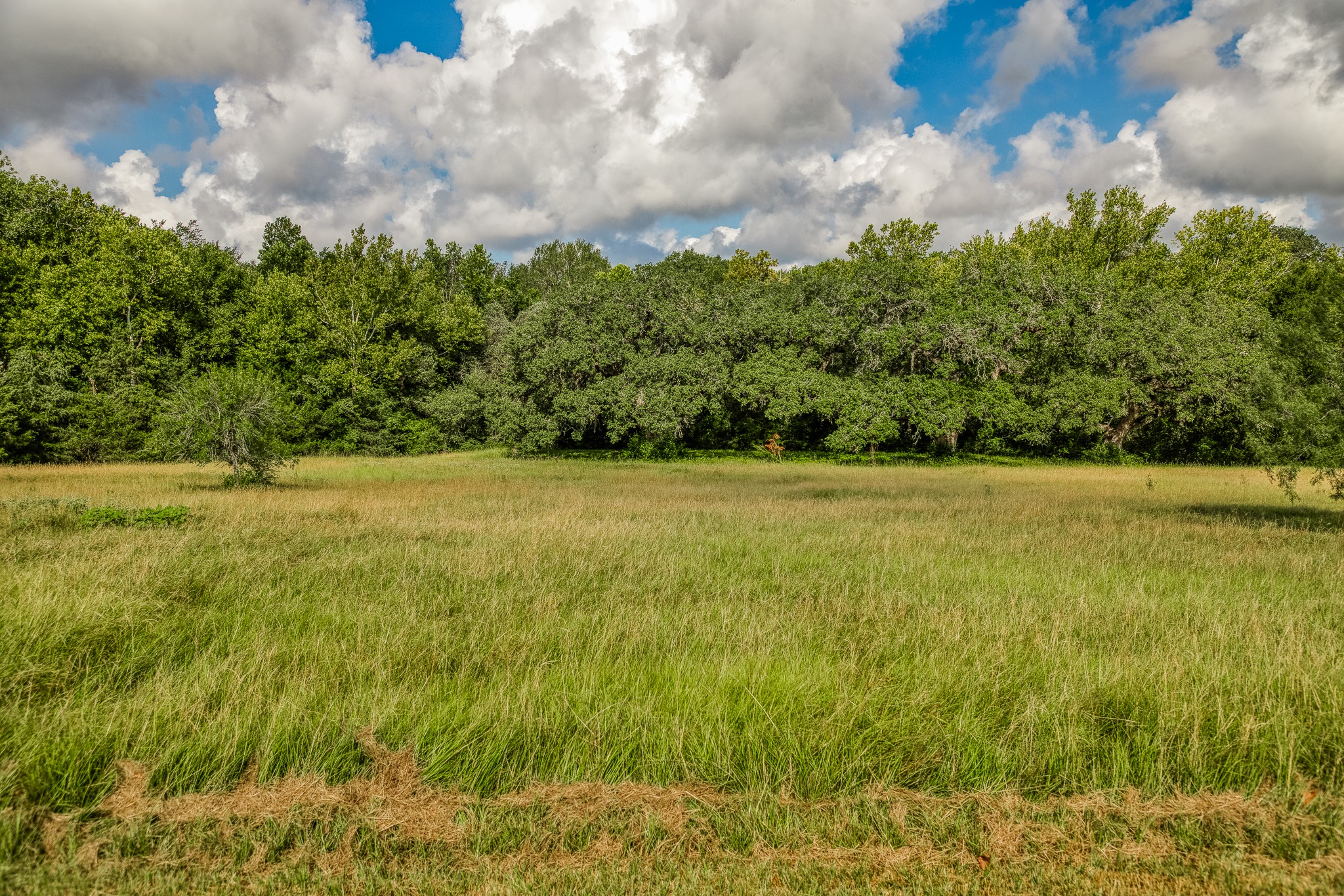 515 East Sh 543 Loop West Point, TX 78963 - Photo 31 of 36 a view of a field with an trees in the background