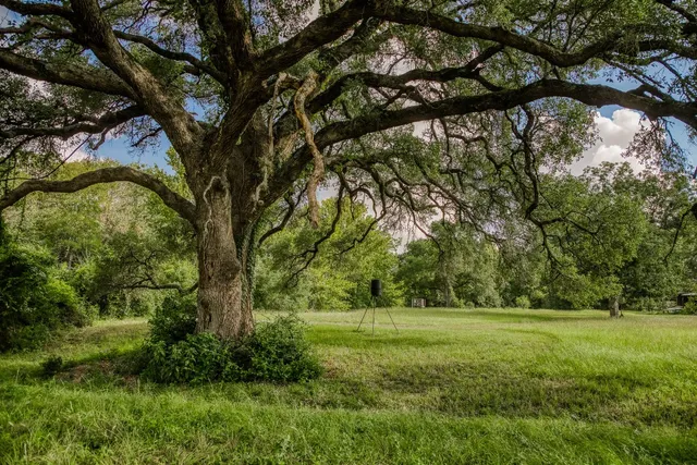 $799,000 | 515 Highway 543 Loop, West Point, TX 78963